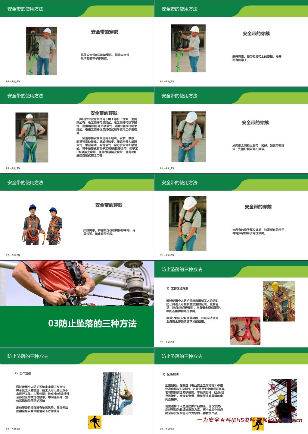 【PPT】安全带教育培训