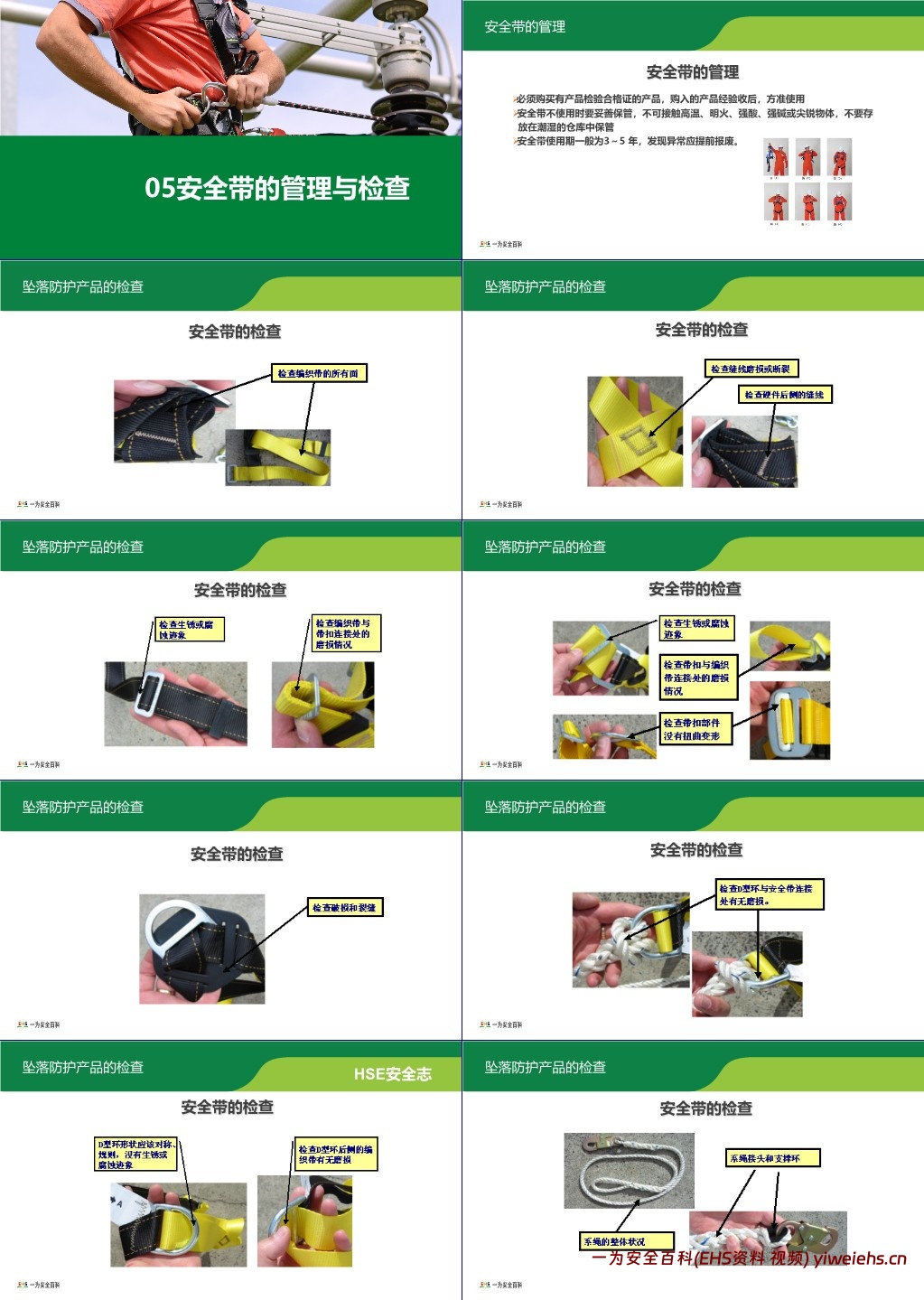 【PPT】安全带教育培训