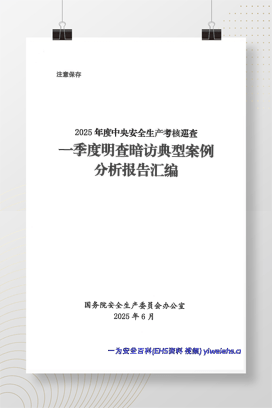 【PDF】2025年度中央安全生产考核巡查一季度明查暗访典型案例分析报告汇编