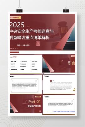 【PPT】中央安全生产考核巡查与明查暗访重点清单及案例解析