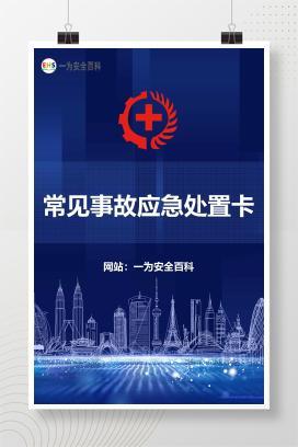 【Word】常见事故应急处置卡
