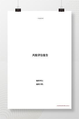 【word】安全风险评估报告