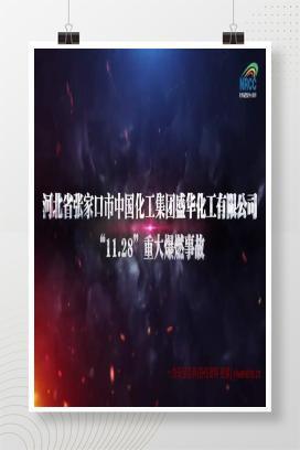 【视频】河北省盛华化工“11.28”重大爆燃事故警示片