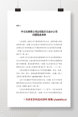 【PDF】最新：2024国务院安委会督导组检查问题隐患清单（16家企业195页共计问题983项）