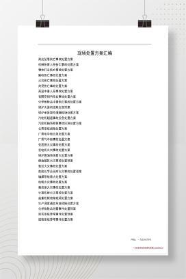 【word】现场处置方案汇编