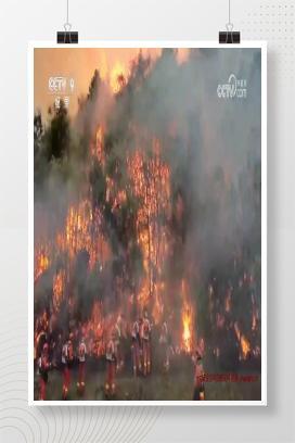 【视频】安全视频：《危机现场》（全5集）