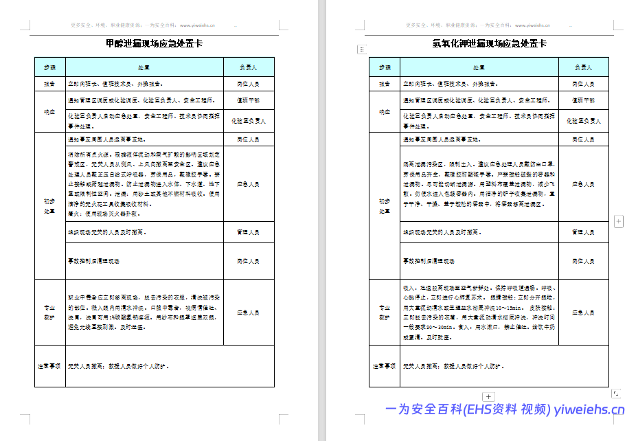 【Word】安全生产应急处置卡模板(危化品泄漏)